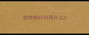 宠物狗补钙用什么
