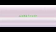 巨型泰迪犬的价格