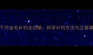 五个月金毛补钙全攻略科学补钙方法与注意事项