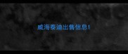 威海泰迪出售信息