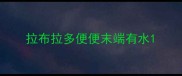 拉布拉多便便末端有水