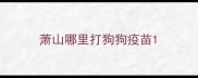 萧山哪里打狗狗疫苗