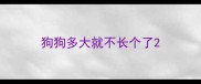 狗狗多大就不长个了