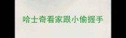 哈士奇看家跟小偷握手