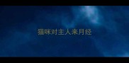 猫咪对主人来月经