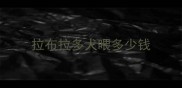 拉布拉多犬喂多少钱