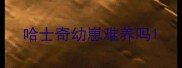 哈士奇幼崽难养吗