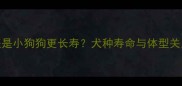大狗寿命长还是小狗狗更长寿犬种寿命与体型关系的科学真相