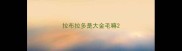 拉布拉多是大金毛嘛