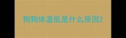 狗狗体温低是什么原因