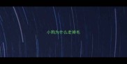 小狗为什么老掉毛