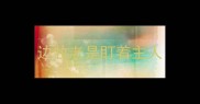 边牧老是盯着主人