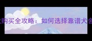 杭州边牧幼犬购买全攻略如何选择靠谱犬舍及注意事项