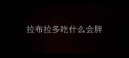 拉布拉多吃什么会胖