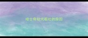 哈士奇幼犬呕吐的原因