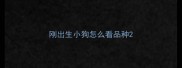 刚出生小狗怎么看品种