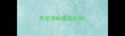 养宠物蜥蜴违法吗