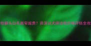 边牧额头白毛越窄越贵资深训犬师边牧价格评估全攻略