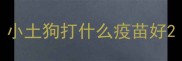 小土狗打什么疫苗好