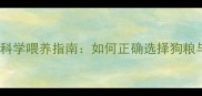 哈士奇幼犬科学喂养指南如何正确选择狗粮与营养搭配