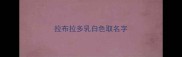 拉布拉多乳白色取名字
