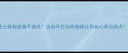 哈士奇到底值不值钱这份平价饲养指南让你省心养出帅犬