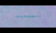 拉布拉多吃草莓叶子