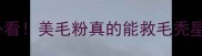 泰迪美毛秘籍科学养宠必看美毛粉真的能救毛秃星人吗附亲测有效产品清单
