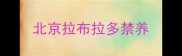北京拉布拉多禁养