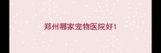郑州哪家宠物医院好