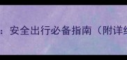 带宠物自驾游全攻略安全出行必备指南附详细步骤和注意事项