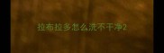拉布拉多怎么洗不干净