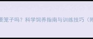 拉布拉多需要笼子吗科学饲养指南与训练技巧附选购攻略