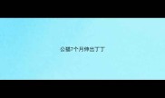 公猫7个月伸出丁丁