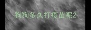 狗狗多久打疫苗呢
