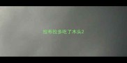 拉布拉多吃了木头