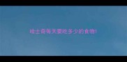 哈士奇每天要吃多少的食物