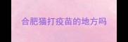 合肥猫打疫苗的地方吗