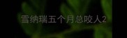 雪纳瑞五个月总咬人