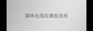 猫咪出现应激反应后