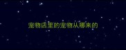 宠物店里的宠物从哪来的