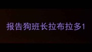 报告狗班长拉布拉多