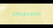 拉布拉多犬舍杭州
