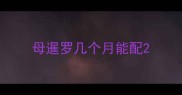 母暹罗几个月能配