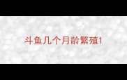 斗鱼几个月龄繁殖