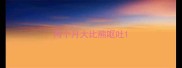 两个月大比熊呕吐