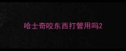哈士奇咬东西打管用吗
