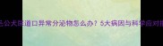 金毛公犬尿道口异常分泌物怎么办5大病因与科学应对指南