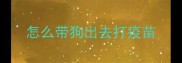 怎么带狗出去打疫苗