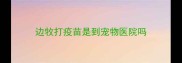 边牧打疫苗是到宠物医院吗